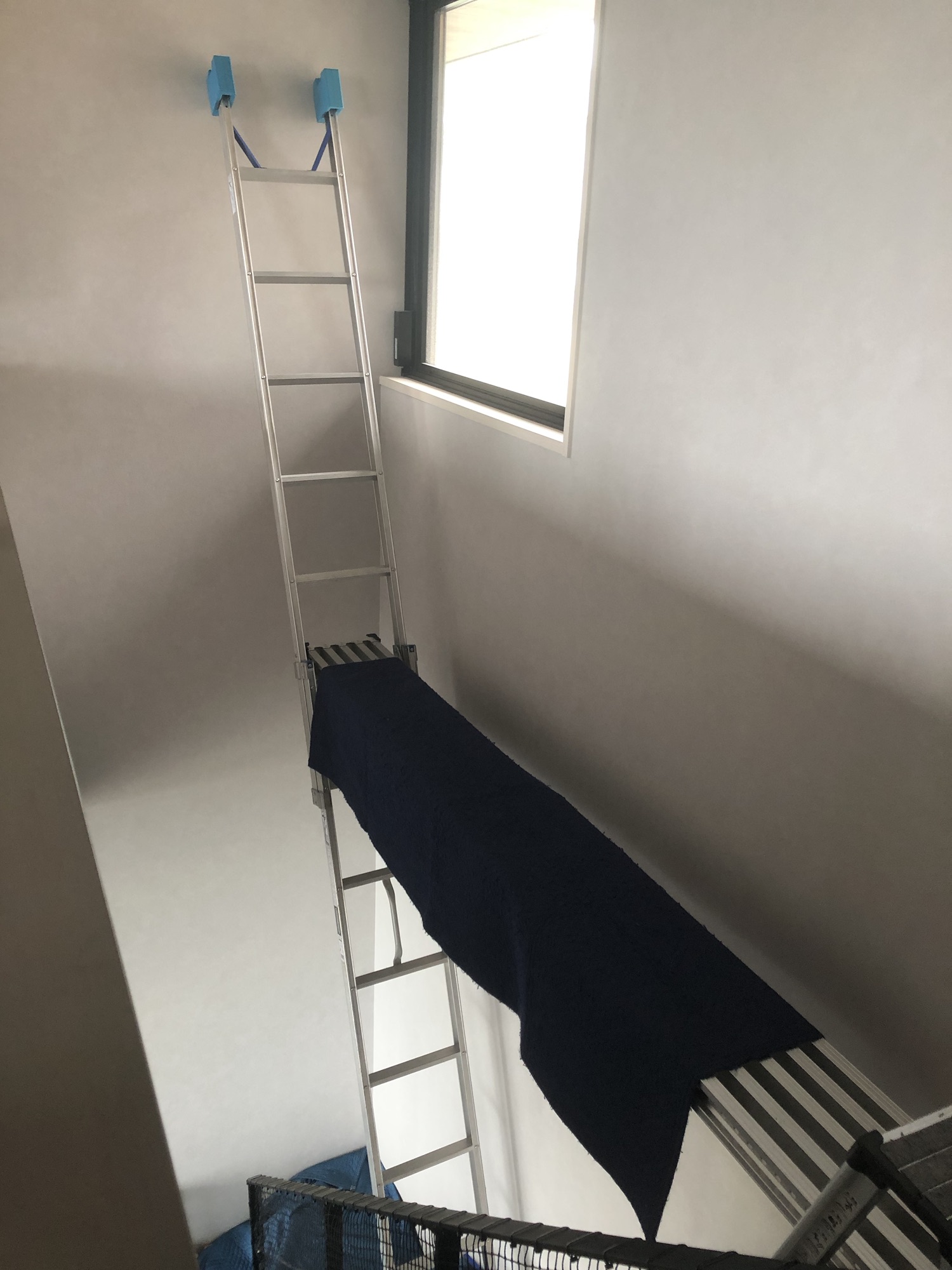 【兵庫県　宝塚市】目隠しフィルム（3M クロスヘアライン）