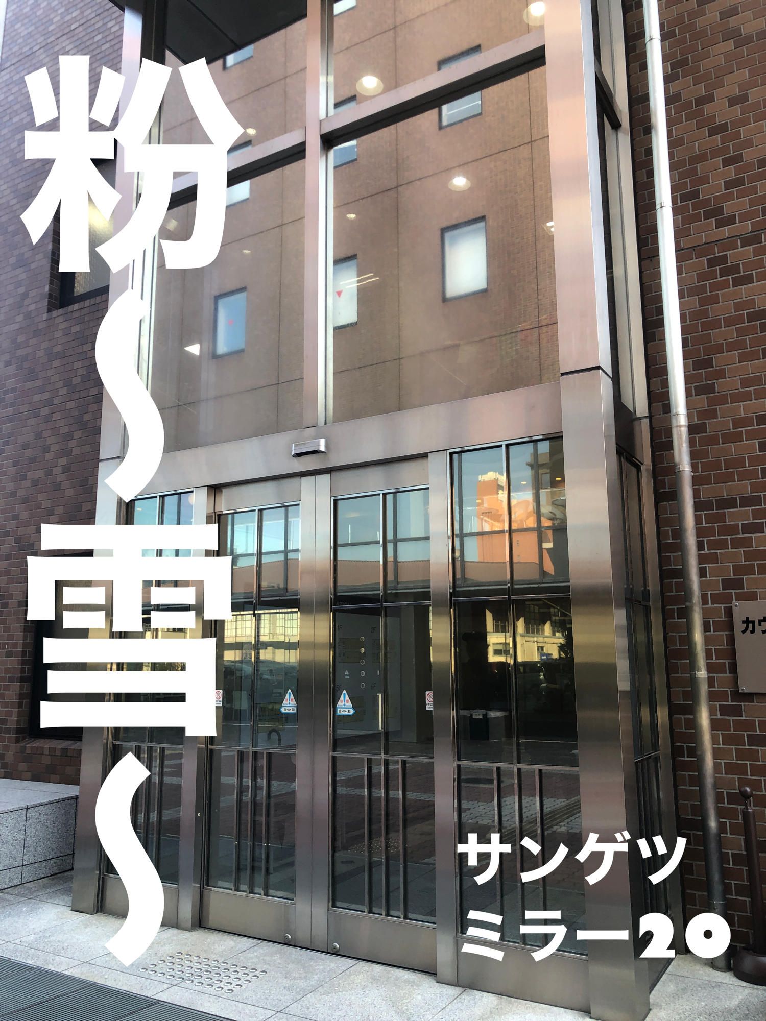 【施工実績】京都市右京区｜大学｜サンゲツ　ミラー20｜粉雪舞うフィルム剥がし｜2026年3月