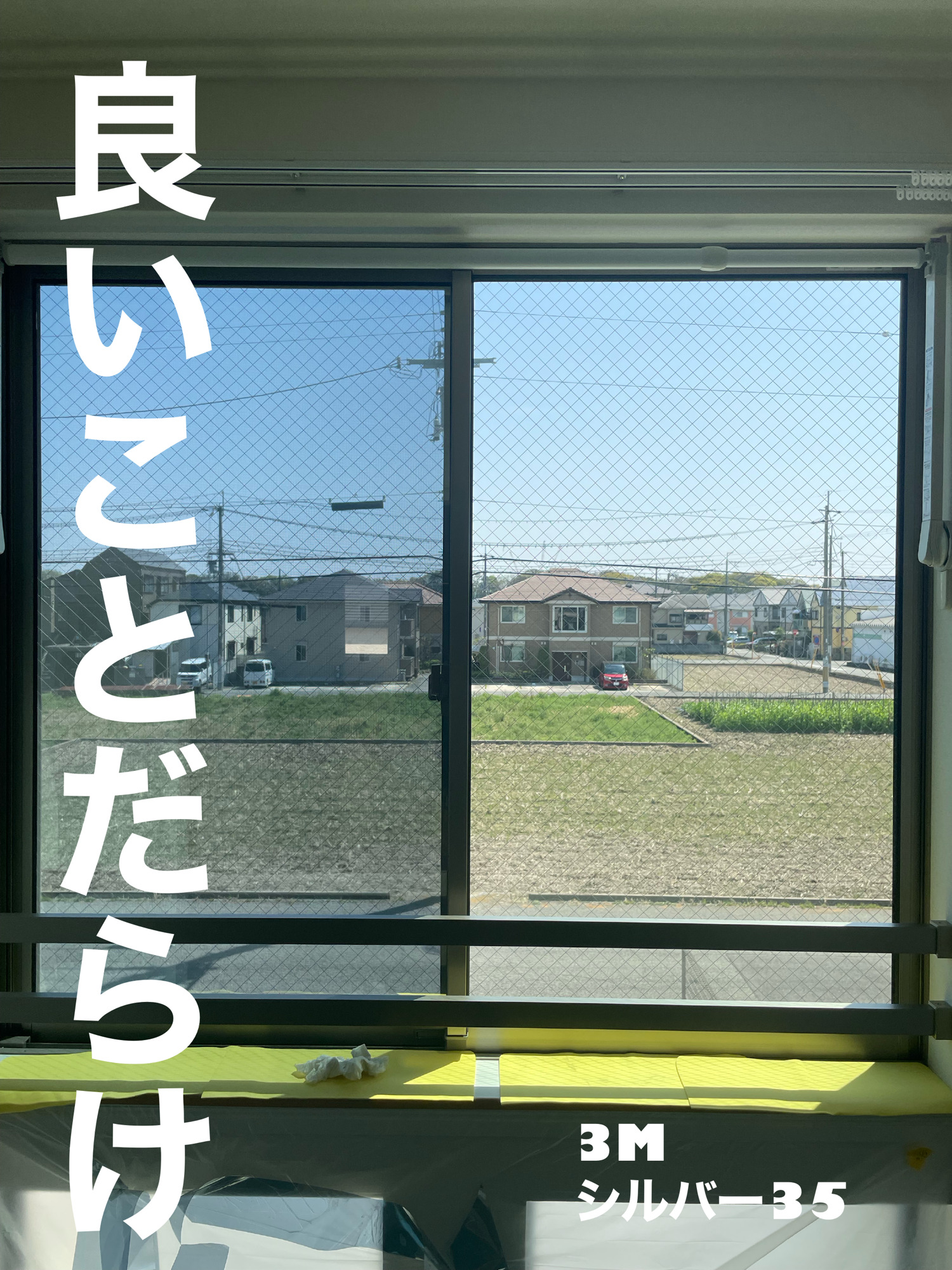 【施工実績】兵庫県伊丹市｜ハイツ｜3M シルバー35｜猫ちゃんも納得の遮熱フィルム｜2026年4月